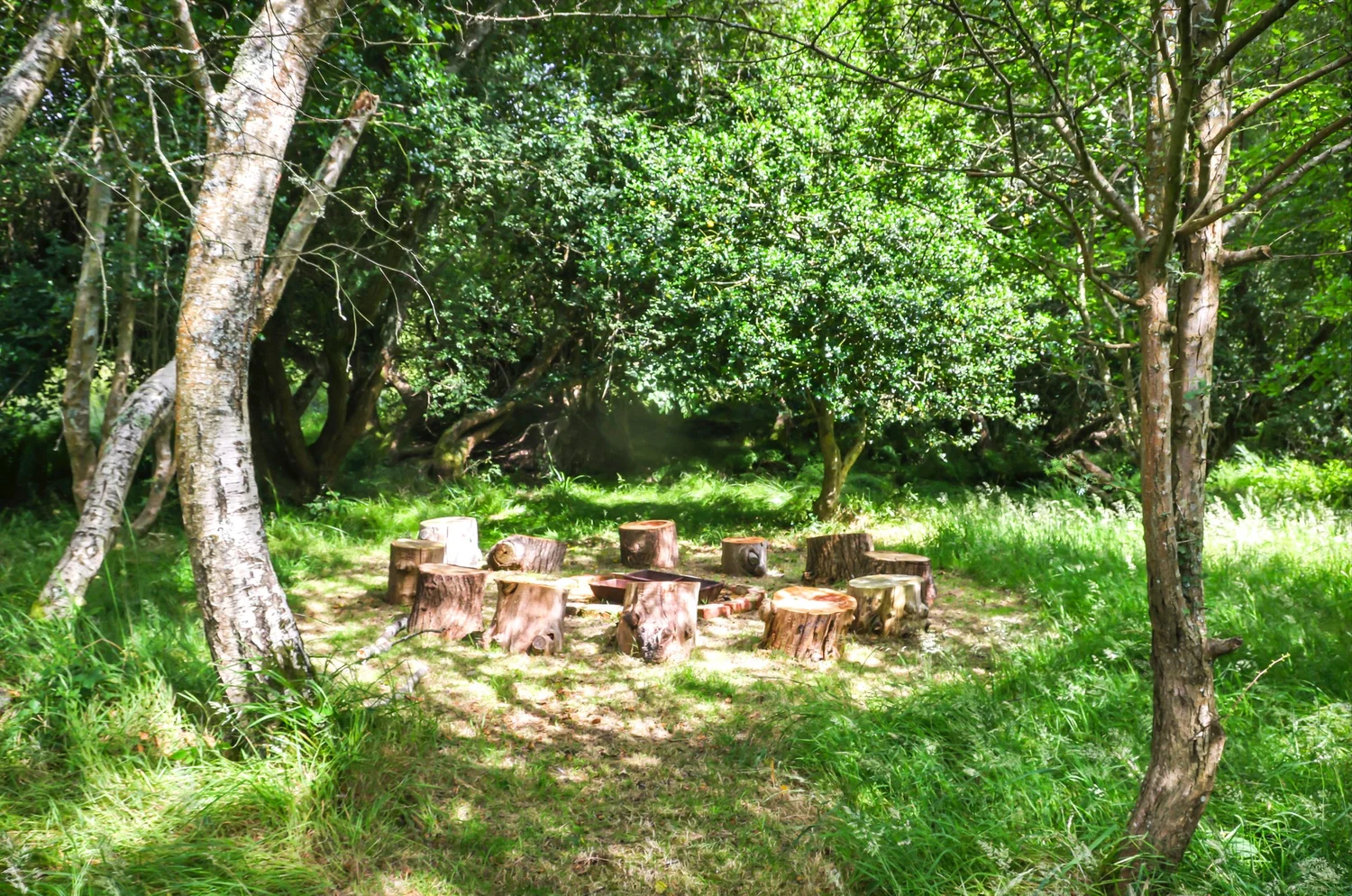 Aerial view of Rockford Farm and grounds