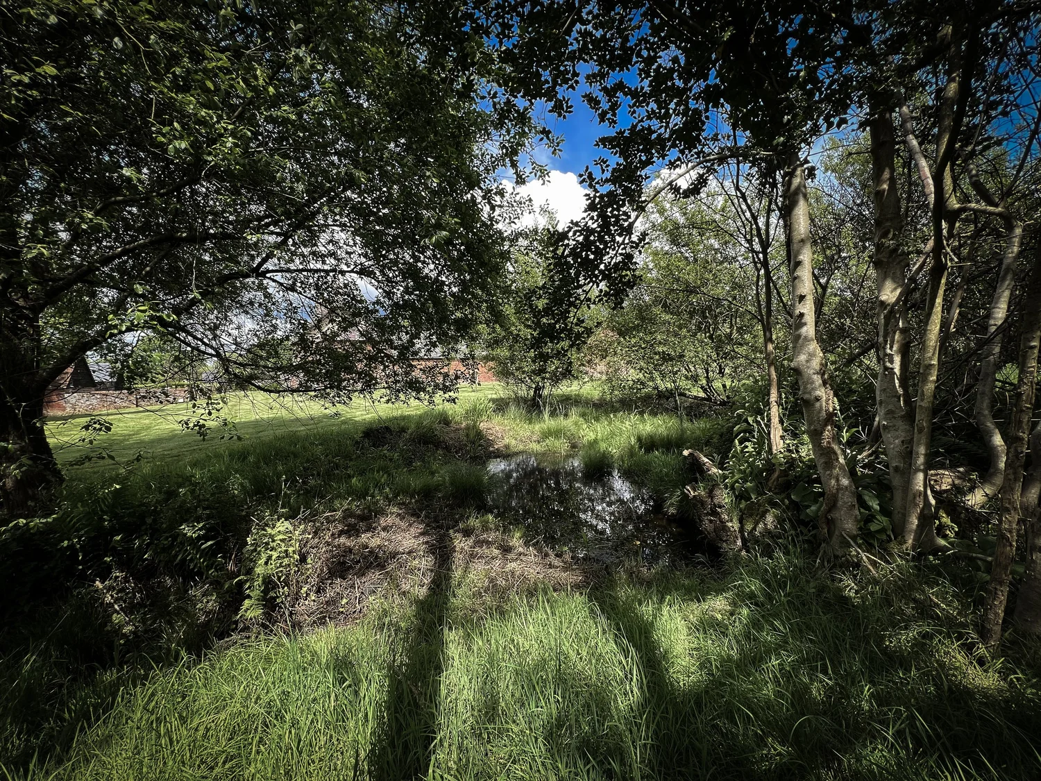 Seating area with views over Blashford Lakes